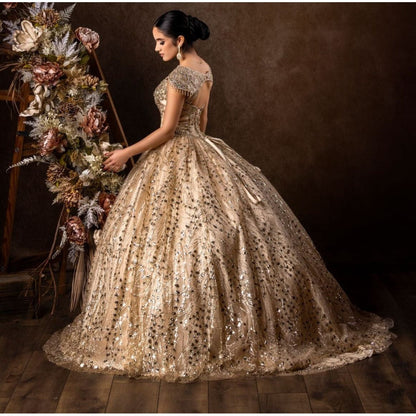 Long Quinceanera Ball Gown