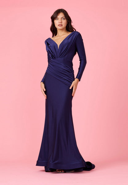 Long Sleeve Formal Fitted Evening Dress